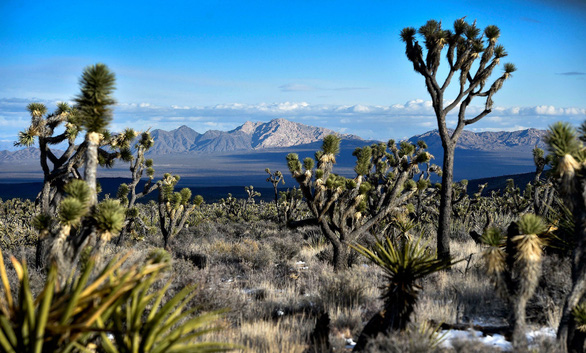 Mỹ công nhận 2 khu bảo tồn thiên nhiên hoang dã là di tích quốc gia - Ảnh 1.