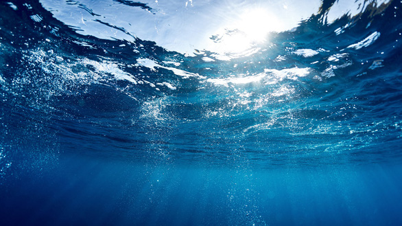 Các vi khuẩn sống dưới nước sử dụng &quot;ăngten&quot; đặc biệt để thu năng lượng Mặt Trời. Nguồn: uts.edu.au