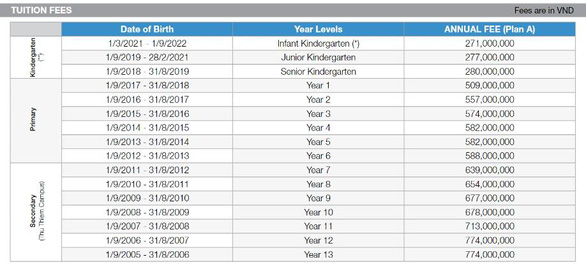 Học phí trường quốc tế tại TP.HCM vượt 900 triệu đồng/năm - Ảnh 2.
