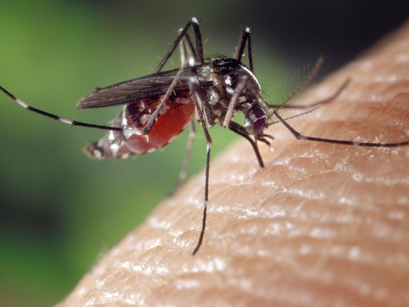 Israel công bố sản phẩm chống muỗi mới - Ảnh 1.