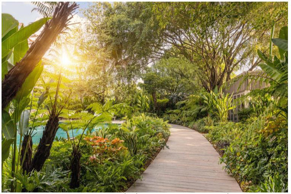 An Lâm Retreats Saigon River được biết đến như "khu vườn nhiệt đới" nằm trong lòng thành phố, tách biệt với những ồn ào phố thị nhờ không gian yên bình và những mảng xanh tự nhiên
