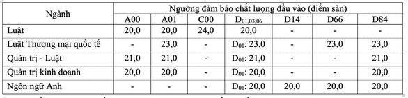 Trường đại học Luật TP.HCM điểm sàn không tăng, học phí cao nhất 165 triệu - Ảnh 2.