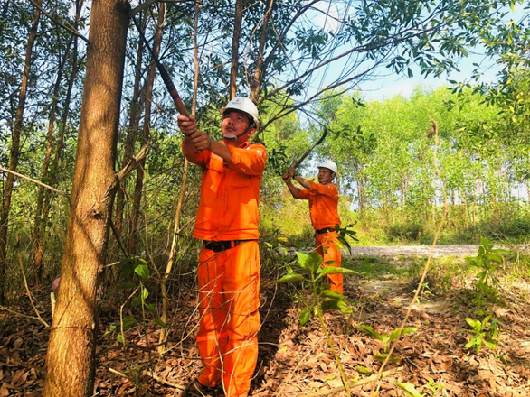 Tăng cường đảm bảo an toàn cho tuyến đường dây tự dùng 22kV - Ảnh 2.