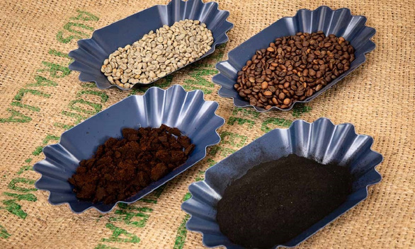 Các mẫu hạt cà phê, hạt cà phê đã rang, bã cà phê và than sinh học từ cà phê. Ảnh: abc.net.au