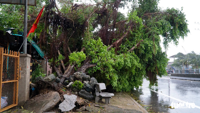 Bão số 12 tung hoành ở Nha Trang, Tuy Hòa - Ảnh 1.