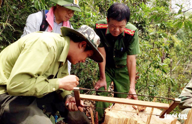 Nghệ An: Hai năm, bảo vệ rừng “không được một đồng ngân sách” - Ảnh 2.