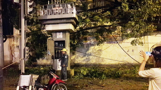 Sau cơn giông, cổ thụ bật gốc đổ ập xuống trường học - Ảnh 3.