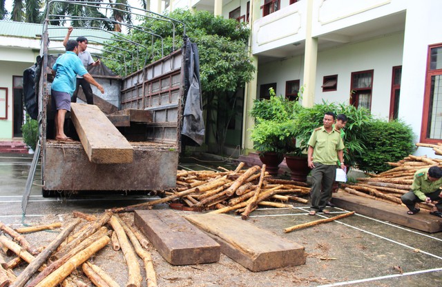 Bị kiểm tra, tài xế chở gỗ lậu bỏ xe tháo chạy - Ảnh 2. Bị kiểm tra, tài xế chở gỗ lậu bỏ xe tháo chạy - Ảnh 2.