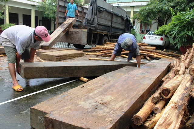 Bị kiểm tra, tài xế chở gỗ lậu bỏ xe tháo chạy - Ảnh 1. Bị kiểm tra, tài xế chở gỗ lậu bỏ xe tháo chạy - Ảnh 1.