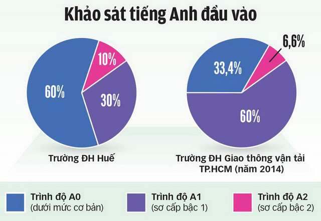 Sinh viên không đạt chuẩn B1 ngoại ngữ, tính sao đây? - Ảnh 2.