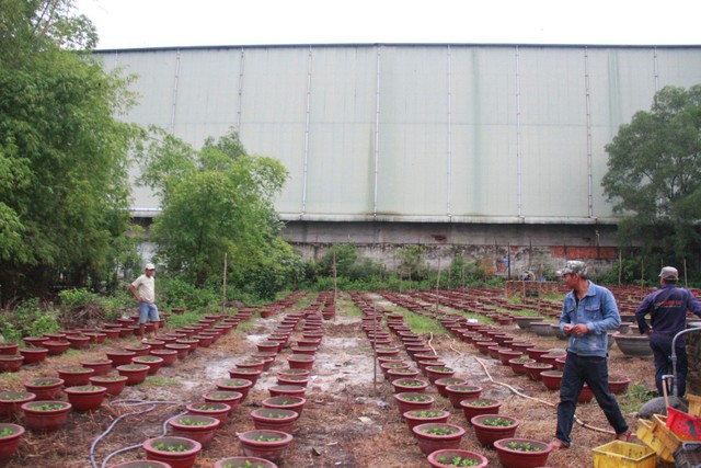 Đà Nẵng: Đau đầu với hai nhà máy thép - Ảnh 5. Đà Nẵng: Đau đầu với hai nhà máy thép - Ảnh 5.