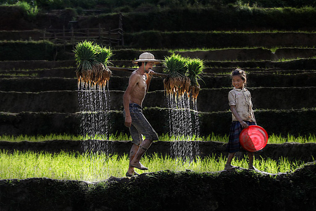 Ngây ngất với thiên nhiên và đời sống người Việt qua ảnh - Ảnh 8.