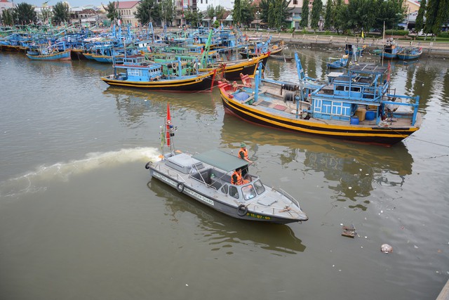 Phú Quý có mưa to, gió giật, cây xanh ngã đổ - Ảnh 3.