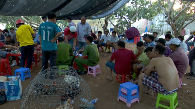 Thu giữ gần 1 tỉ ở trường gà với 19 gà nòi - Ảnh 1.