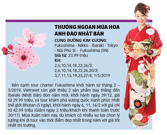 Đến Nhật ngắm hoa Anh đào bằng “chuyên cơ” - Ảnh 3.