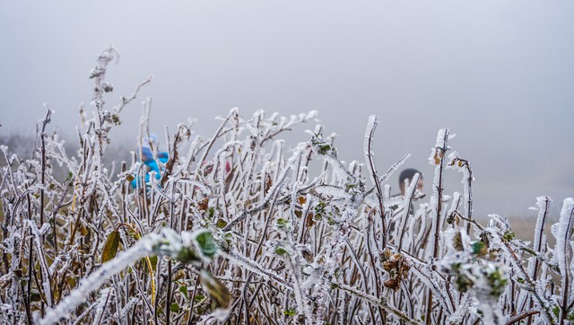 Miền Bắc lại đón đợt rét mới, miền Trung mưa đến hết 12-12 - Ảnh 1.