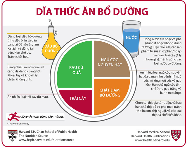 Dĩa thức ăn bổ dưỡng của chuyên gia dinh dưỡng Harvard - Ảnh 1.