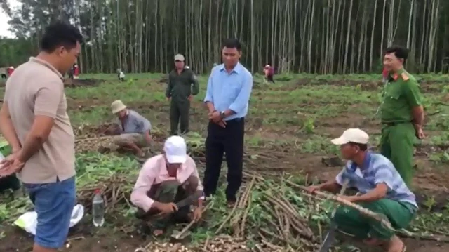 Dừng giao khoán đất rừng, đặc cách đầu tư - Ảnh 3. Dừng giao khoán đất rừng, đặc cách đầu tư - Ảnh 3.