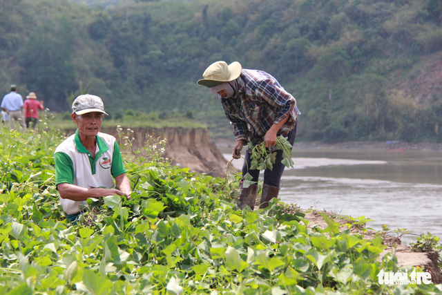 Về nơi lèn đá tỉa bắp, khơi dòng nước - Ảnh 9.