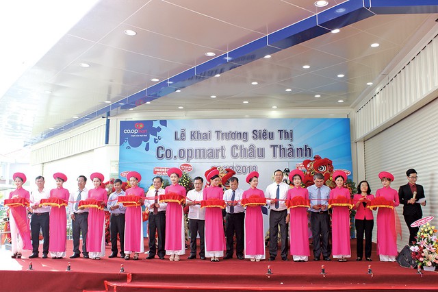 Dồn dập khai trương các siêu thị dịp Tết - Ảnh 2.