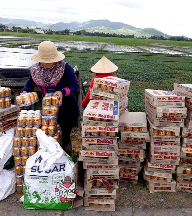 Dân Phú Yên hè nhau gom bò húc giúp tài xế xe tải bị lật - Ảnh 2. Dân Phú Yên hè nhau gom bò húc giúp tài xế xe tải bị lật - Ảnh 2.