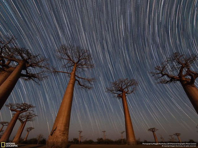 Ngắm ảnh ấn tượng cuộc thi National Geographic Photo Contest 2018 - Ảnh 16.