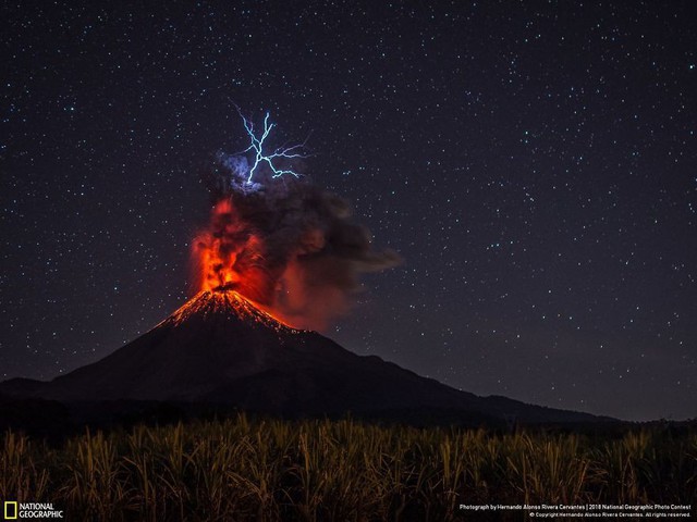 Ngắm ảnh ấn tượng cuộc thi National Geographic Photo Contest 2018 - Ảnh 4.