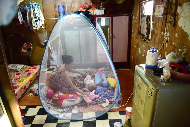 Mơ con rạch trở lại trong xanh - Ảnh 6.