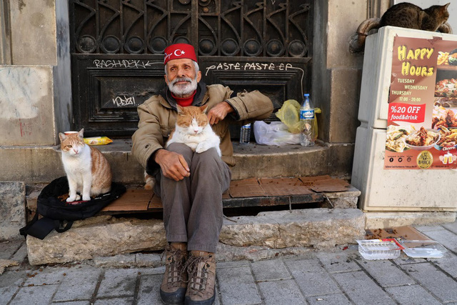 Lang thang khám phá thành phố...mèo Istanbul - Ảnh 9.