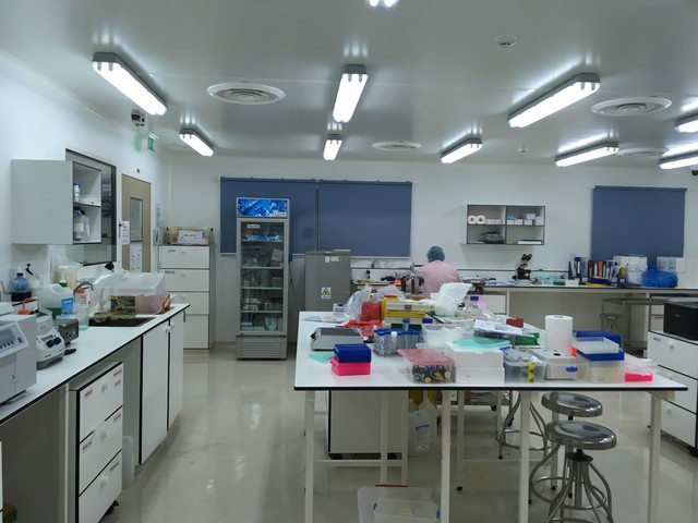 bệnh sốt rét bệnh sốt rét