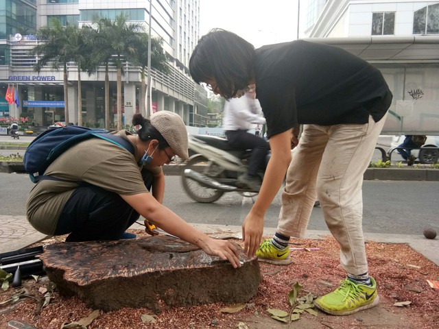 Bạn trẻ in hình gốc cây đường Tôn Đức Thắng - Ảnh 6.