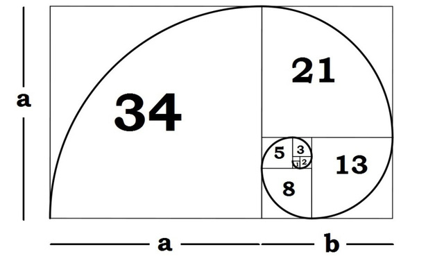 Dãy số Fibonacci và những bí ẩn trong tự nhiên - Ảnh 3.