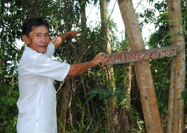 Trưởng phòng chống tham nhũng lãnh án vì làm giả công văn - Ảnh 2.