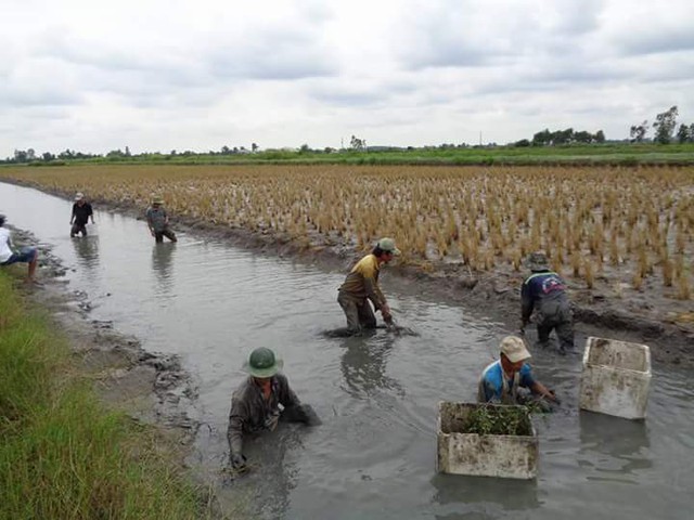 Kẻ giấu mặt dưới nước ngầm, sau nước dâng - Ảnh 1.