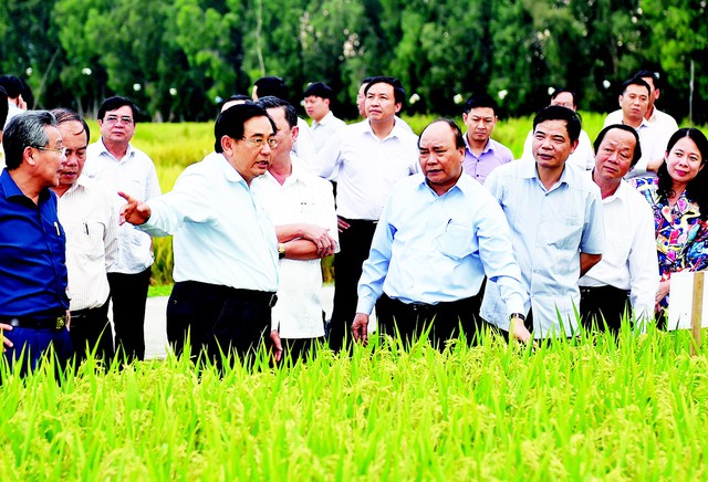 Tôi hát bài ca ngợi ca cây lúa - Ảnh 1. Tôi hát bài ca ngợi ca cây lúa - Ảnh 1.