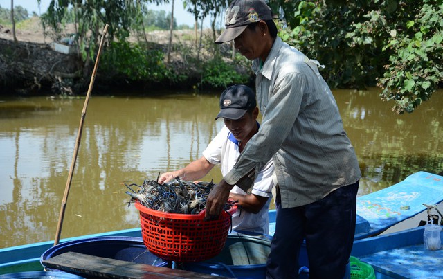 Thương hiệu “tôm càng xanh Vĩnh Thuận” - Ảnh 1.