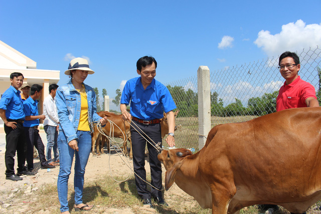 Báo Tuổi Trẻ trao tặng 30 con bò giống cho bà con vùng bão lũ - Ảnh 2.