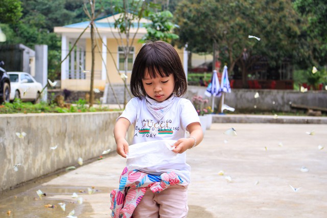 Tháng 4, đến rừng Cúc Phương săn bướm - Ảnh 7.