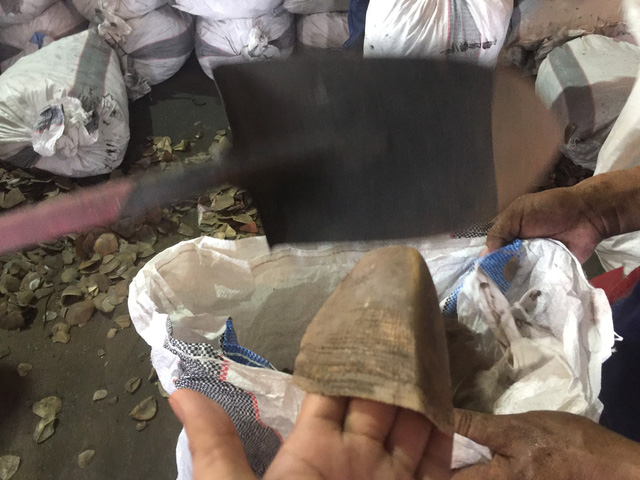Gần 3,8 tấn vảy tê tê nhập lậu từ Congo vào Việt Nam - Ảnh 3.