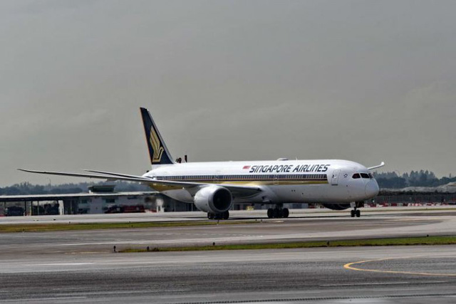 Hành khách suýt chết, Singapore ngừng phục vụ đậu phộng trên máy bay - Ảnh 1.