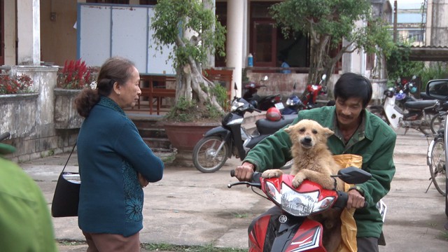 Dân truy đuổi cẩu tặc bằng xe phân khối lớn, giải cứu 7 con chó - Ảnh 1.