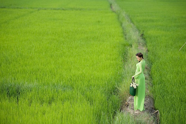 Cho tôi một vé đi chơi khắp đồng bằng - Ảnh 1.