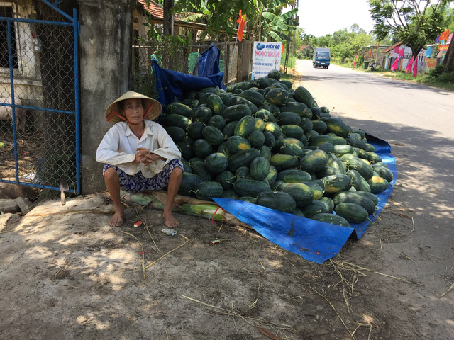 Lại đổ đống dưa hấu, lại kêu gọi giải cứu - Ảnh 1.