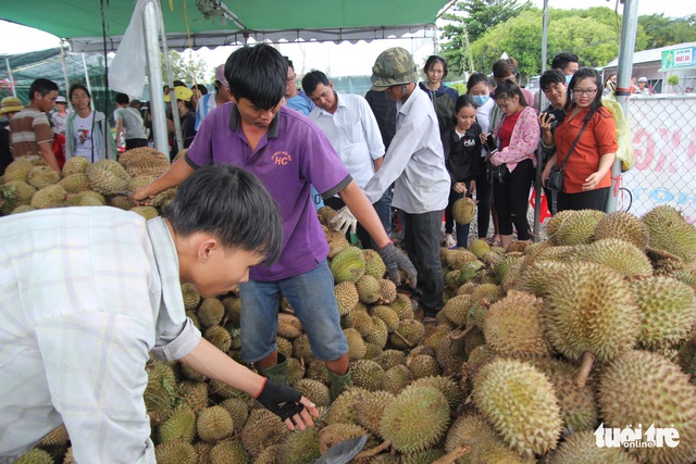 Ùn ùn đi ăn sầu riêng siêu rẻ, chỉ 19.000 đồng/kg - Ảnh 5.