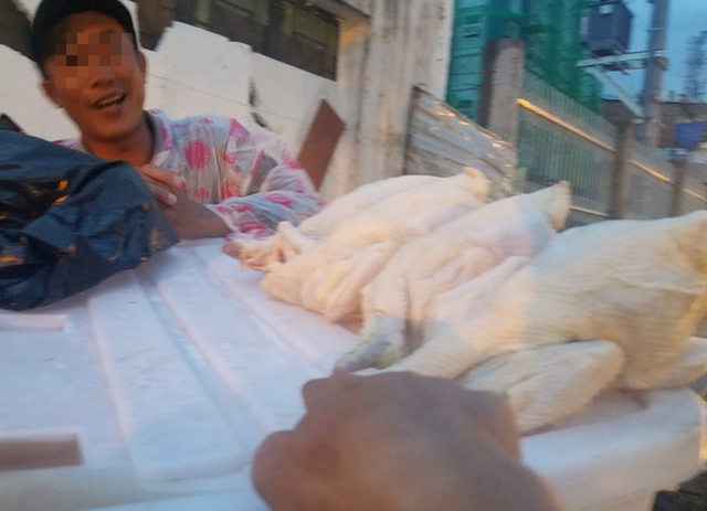 Thịt gà thải loại dai ngon nhưng liệu có an toàn? - Ảnh 1.
