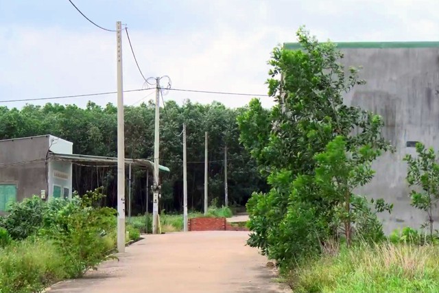 Đồng Nai thanh tra việc phân lô bán nền, xây dựng trái phép - Ảnh 1.