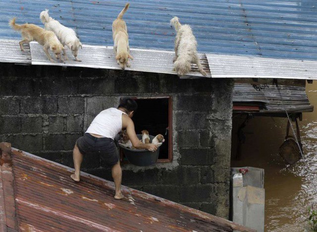Những bức ảnh xúc động hơn ngàn lời nói - Ảnh 21.