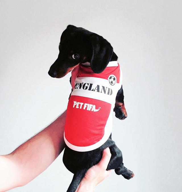 Đội hình boss cưng siêu ngầu mùa World Cup - Ảnh 1.
