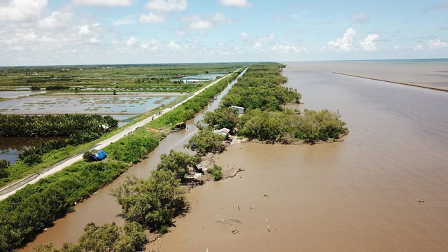 Giữ đất ven biển: Những giải pháp từ thực tế - Ảnh 1.