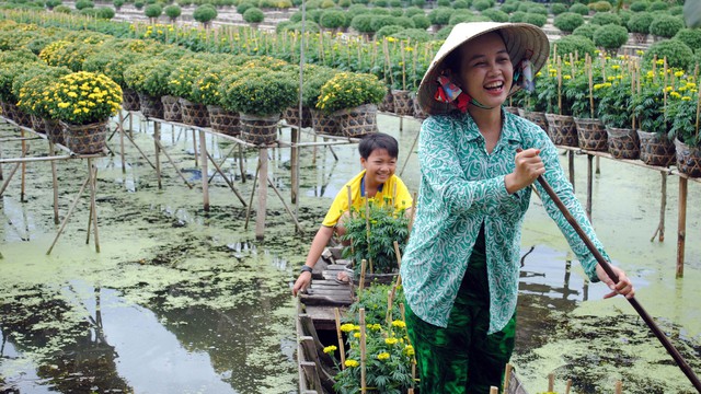 Thăng trầm làng hoa Sa Đéc - Kỳ 5: Đưa hoa lên giàn - Ảnh 3.